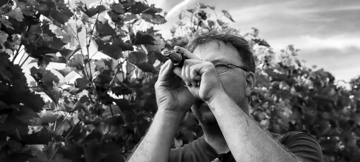 Weingut Heintz – Prüfung